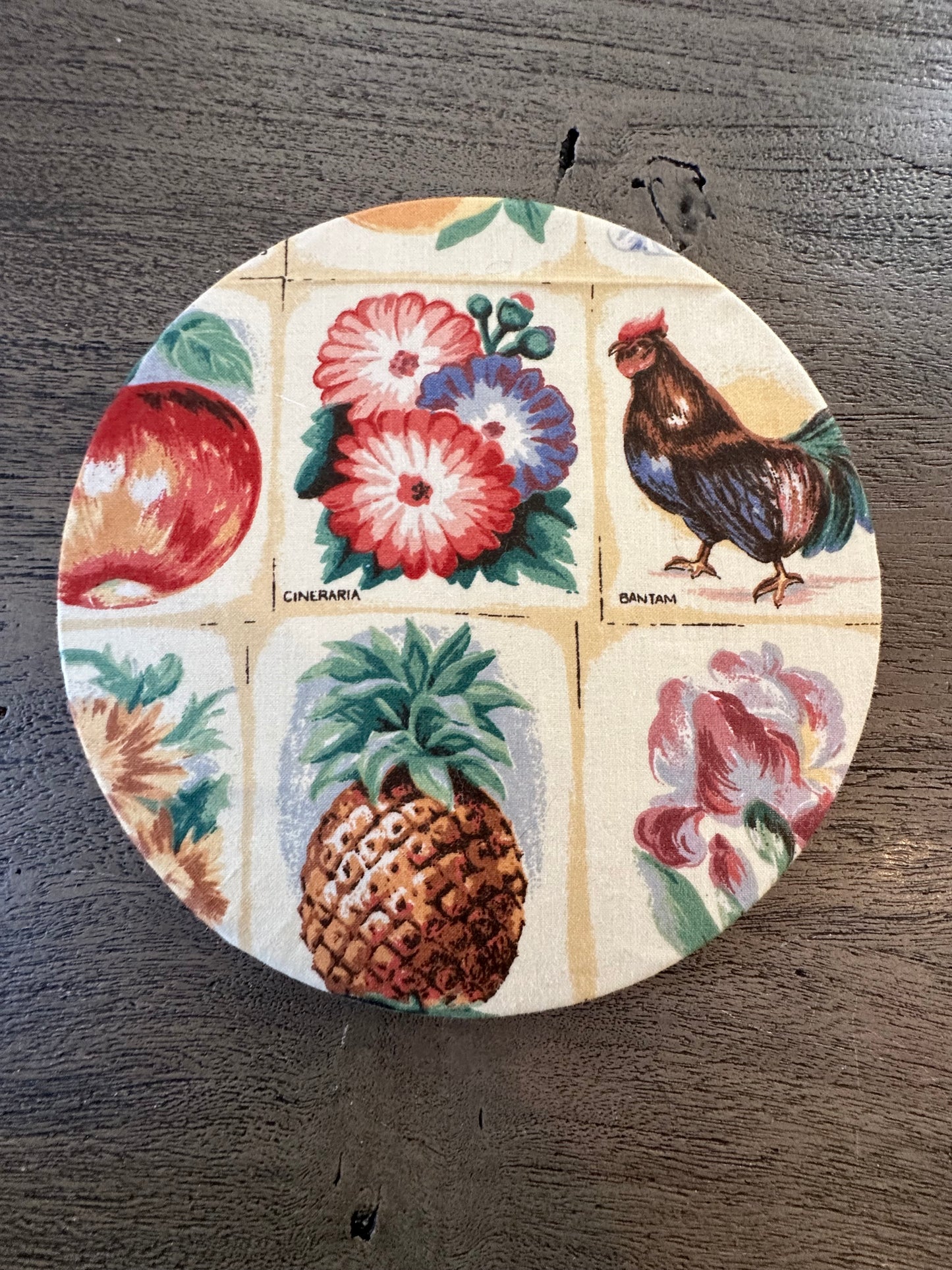 Removable Placemats / Trivets